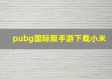 pubg国际服手游下载小米