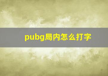 pubg局内怎么打字