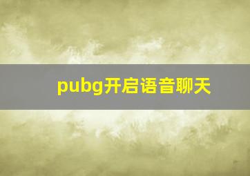 pubg开启语音聊天