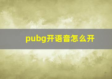 pubg开语音怎么开