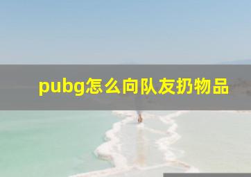 pubg怎么向队友扔物品