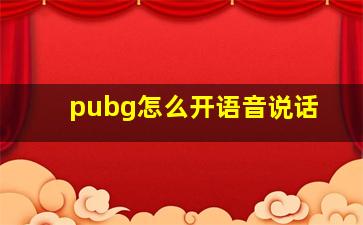 pubg怎么开语音说话