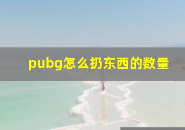 pubg怎么扔东西的数量