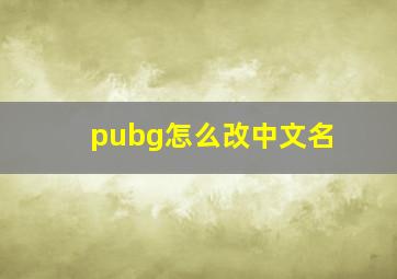 pubg怎么改中文名