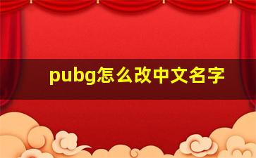 pubg怎么改中文名字