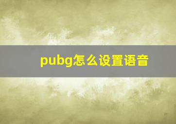 pubg怎么设置语音