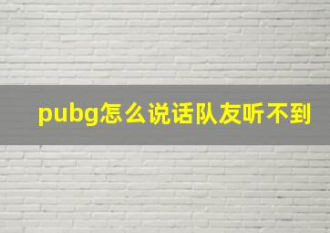 pubg怎么说话队友听不到