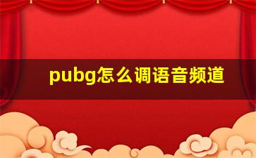 pubg怎么调语音频道