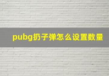 pubg扔子弹怎么设置数量