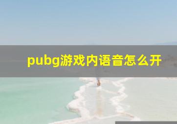 pubg游戏内语音怎么开