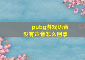 pubg游戏语音没有声音怎么回事