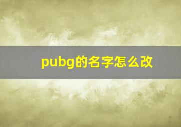 pubg的名字怎么改