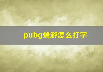 pubg端游怎么打字