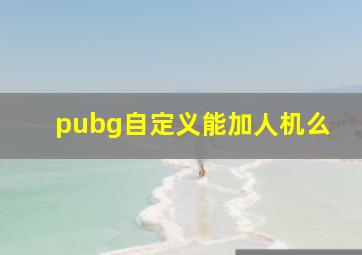 pubg自定义能加人机么