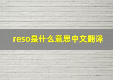 reso是什么意思中文翻译