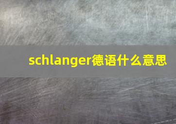 schlanger德语什么意思