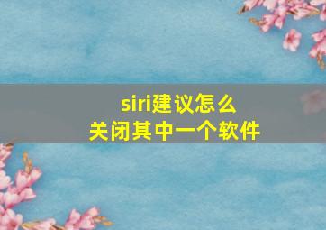 siri建议怎么关闭其中一个软件