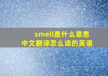 smell是什么意思中文翻译怎么读的英语