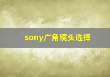 sony广角镜头选择