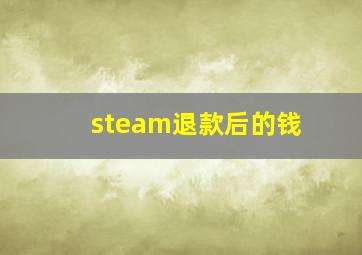 steam退款后的钱