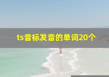 ts音标发音的单词20个