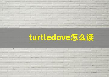 turtledove怎么读