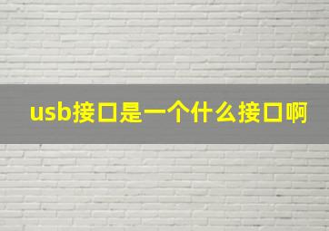 usb接口是一个什么接口啊