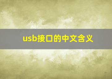 usb接口的中文含义