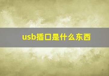 usb插口是什么东西