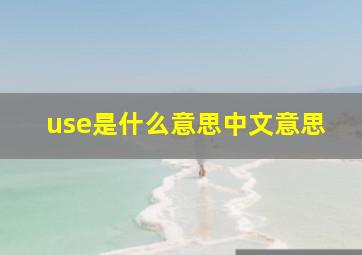 use是什么意思中文意思