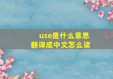 use是什么意思翻译成中文怎么读