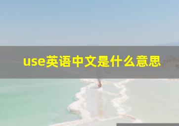 use英语中文是什么意思