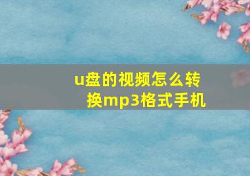 u盘的视频怎么转换mp3格式手机