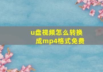 u盘视频怎么转换成mp4格式免费