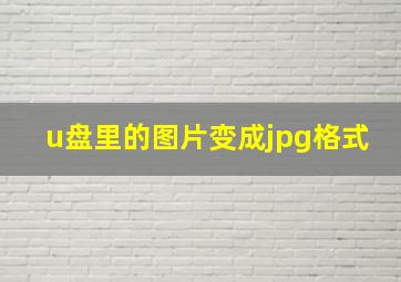 u盘里的图片变成jpg格式