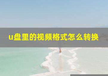 u盘里的视频格式怎么转换