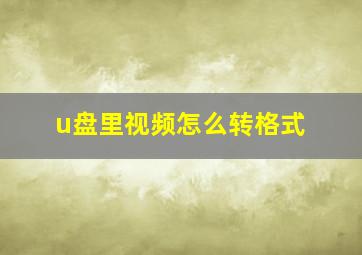 u盘里视频怎么转格式