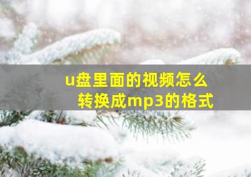 u盘里面的视频怎么转换成mp3的格式