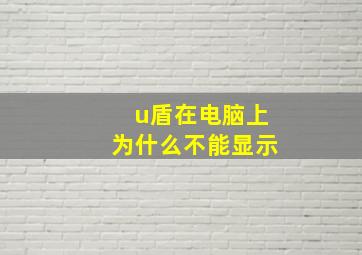 u盾在电脑上为什么不能显示