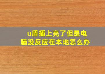 u盾插上亮了但是电脑没反应在本地怎么办