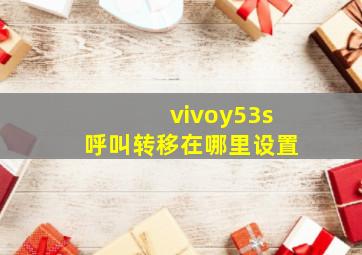 vivoy53s呼叫转移在哪里设置