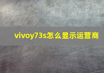 vivoy73s怎么显示运营商