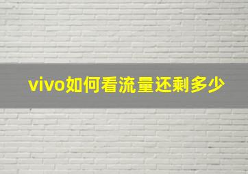 vivo如何看流量还剩多少