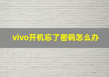 vivo开机忘了密码怎么办