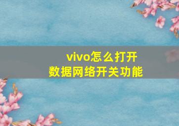 vivo怎么打开数据网络开关功能