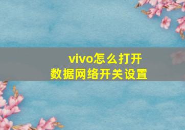 vivo怎么打开数据网络开关设置