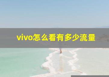 vivo怎么看有多少流量