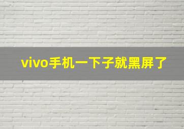 vivo手机一下子就黑屏了