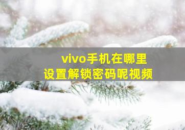 vivo手机在哪里设置解锁密码呢视频