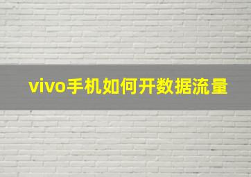 vivo手机如何开数据流量